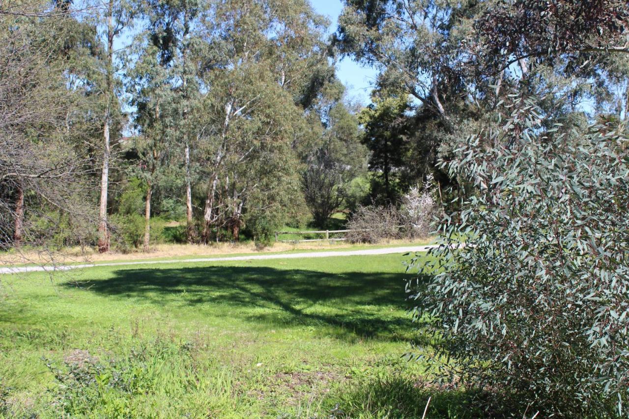 Australian Home Away @ Doncaster Grange Park Melbourne Kültér fotó